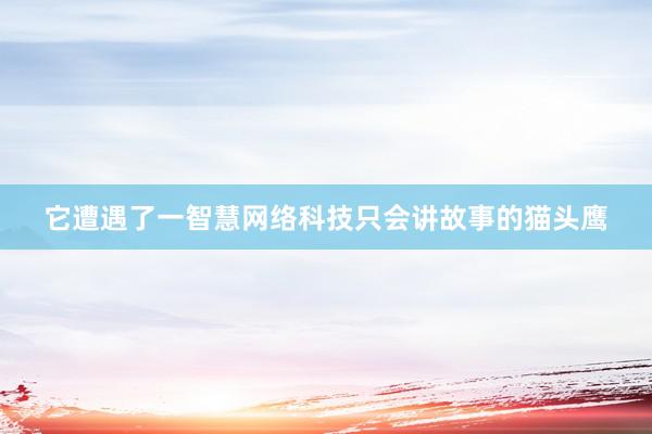 它遭遇了一智慧网络科技只会讲故事的猫头鹰