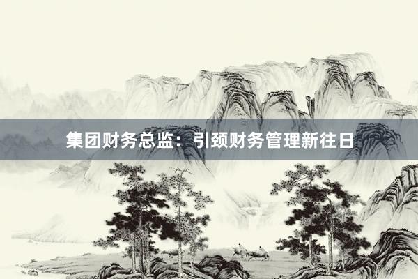集团财务总监：引颈财务管理新往日